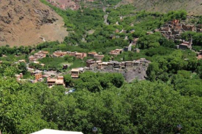 Dar afla